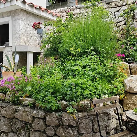 House With A Parking Space Gornja Podgora, Makarska - 22242 Semesterbostad